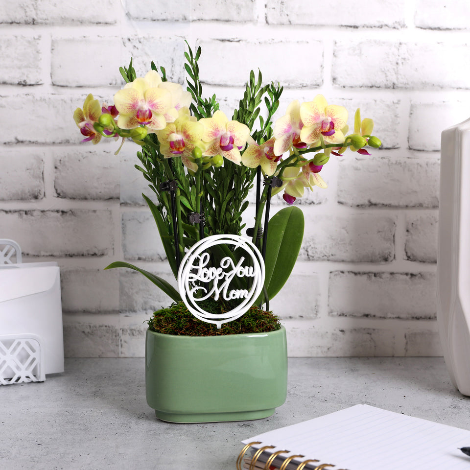 Elevated Mini Yellow Orchid Planter with Love You Mom Pick