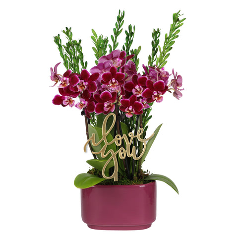 Elevated Mini Purple Orchid Planter with I Love You Pick