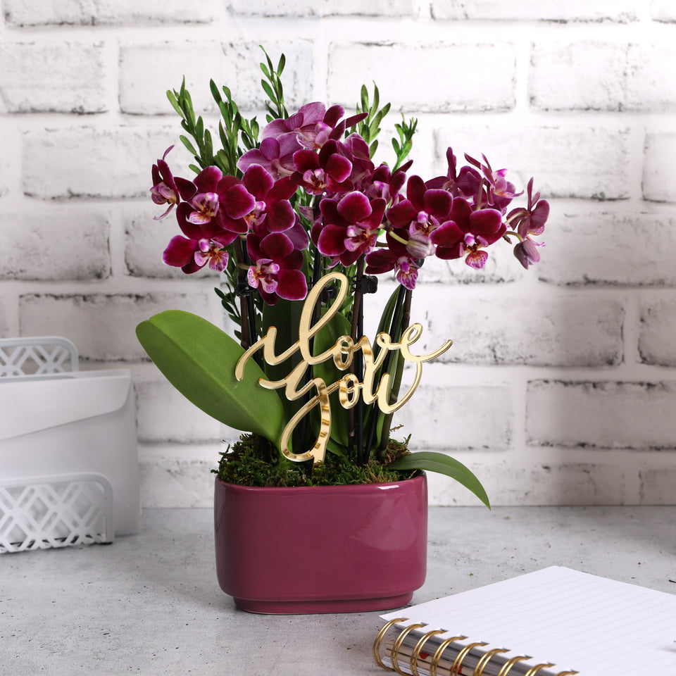 Elevated Mini Purple Orchid Planter with I Love You Pick