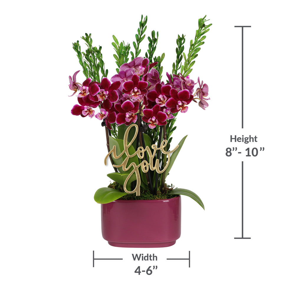 Elevated Mini Purple Orchid Planter with I Love You Pick