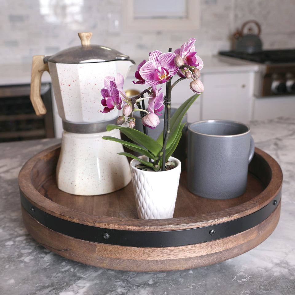 Mini Pink Orchid in White Pot