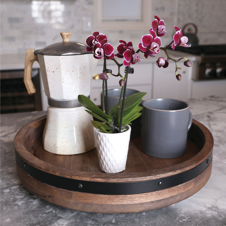 dark purple orchid, dark purple orchids