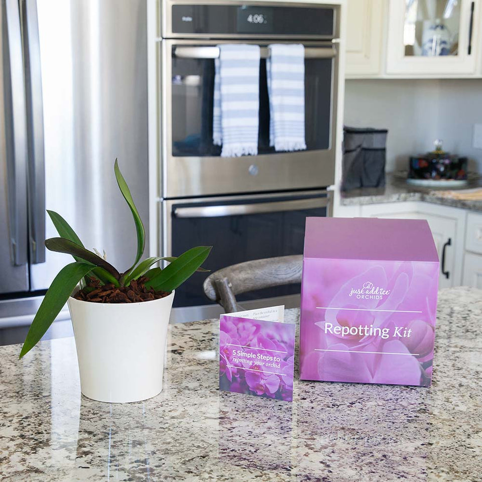 orchid starter kit - repotting kit for orchids