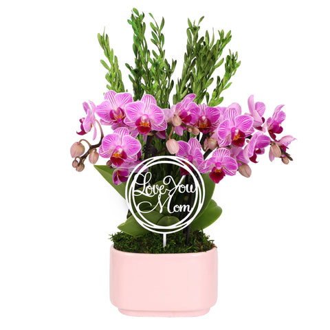 Elevated Mini Pink Orchid Planter with Love You Mom Pick