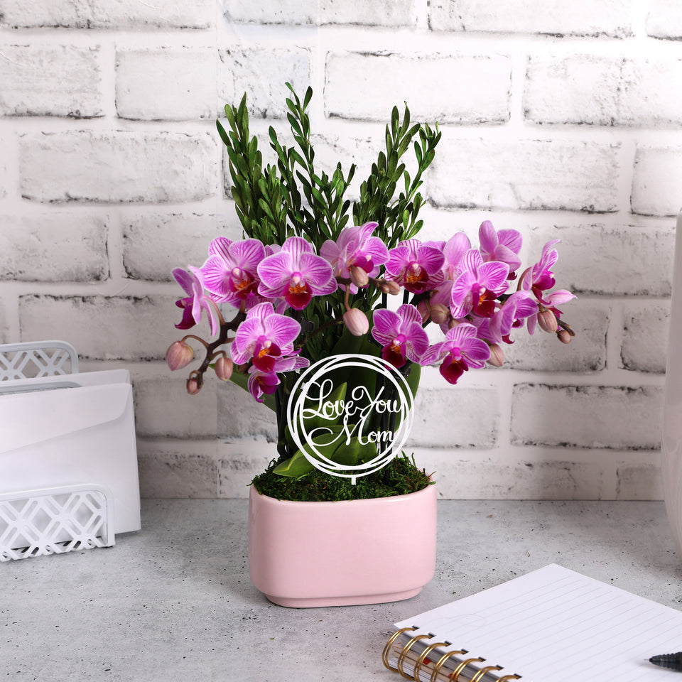 Elevated Mini Pink Orchid Planter with Love You Mom Pick
