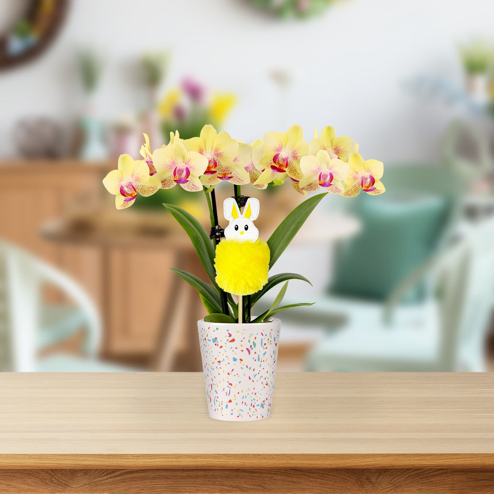 Mini Yellow Orchid with Fluffy Bunny Pick