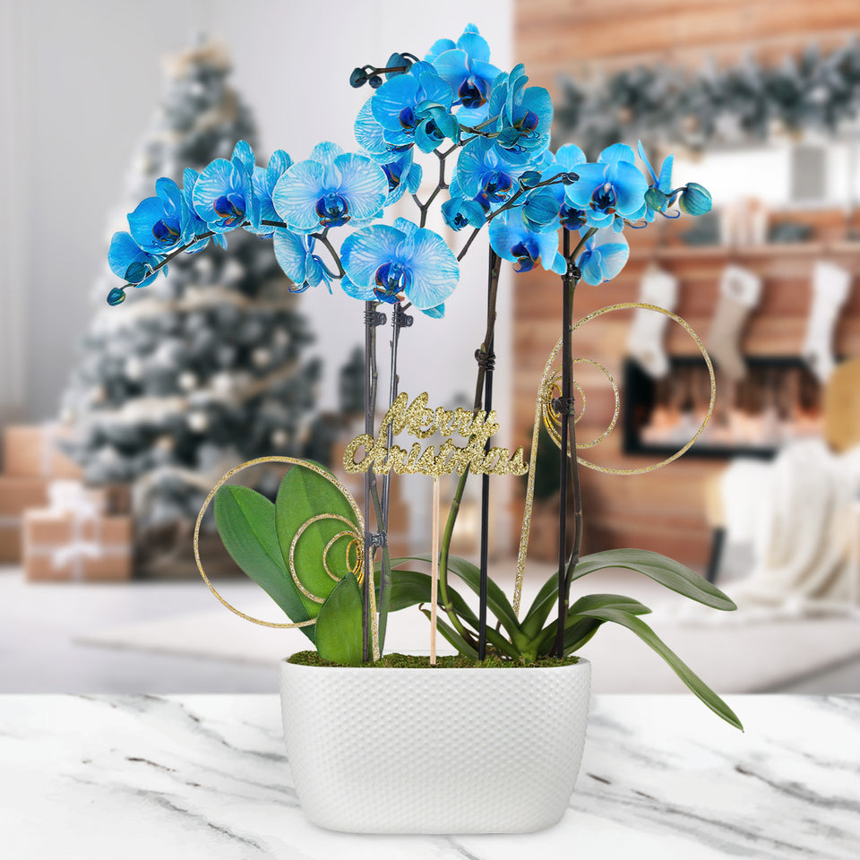 Gold Christmas Collection Blue Watercolor Orchid Planter With Glitter Twirls and Keepsake Merry Christmas Pick
