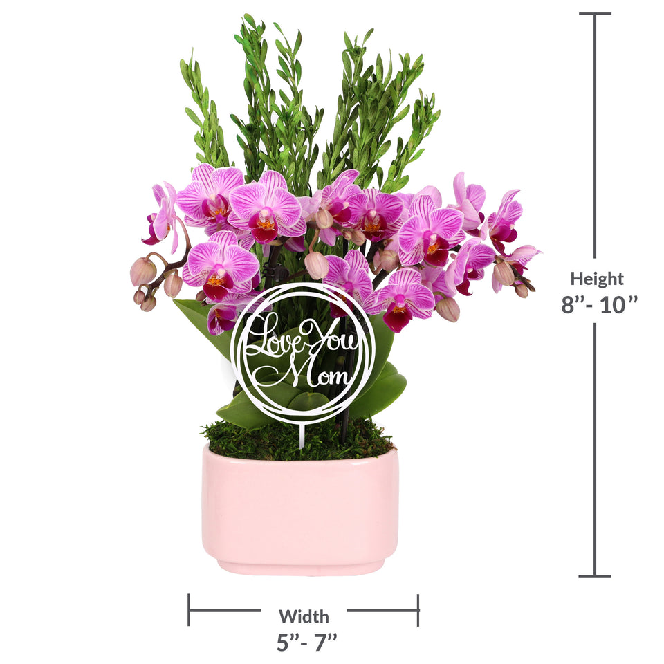 Elevated Mini Pink Orchid Planter with Love You Mom Pick