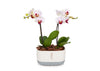 Mini Pink Orchid Planter in Cream/Grey Pot