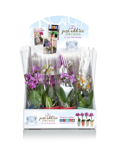 Flower Shop in a Box™ Multicolor (12 Pack)