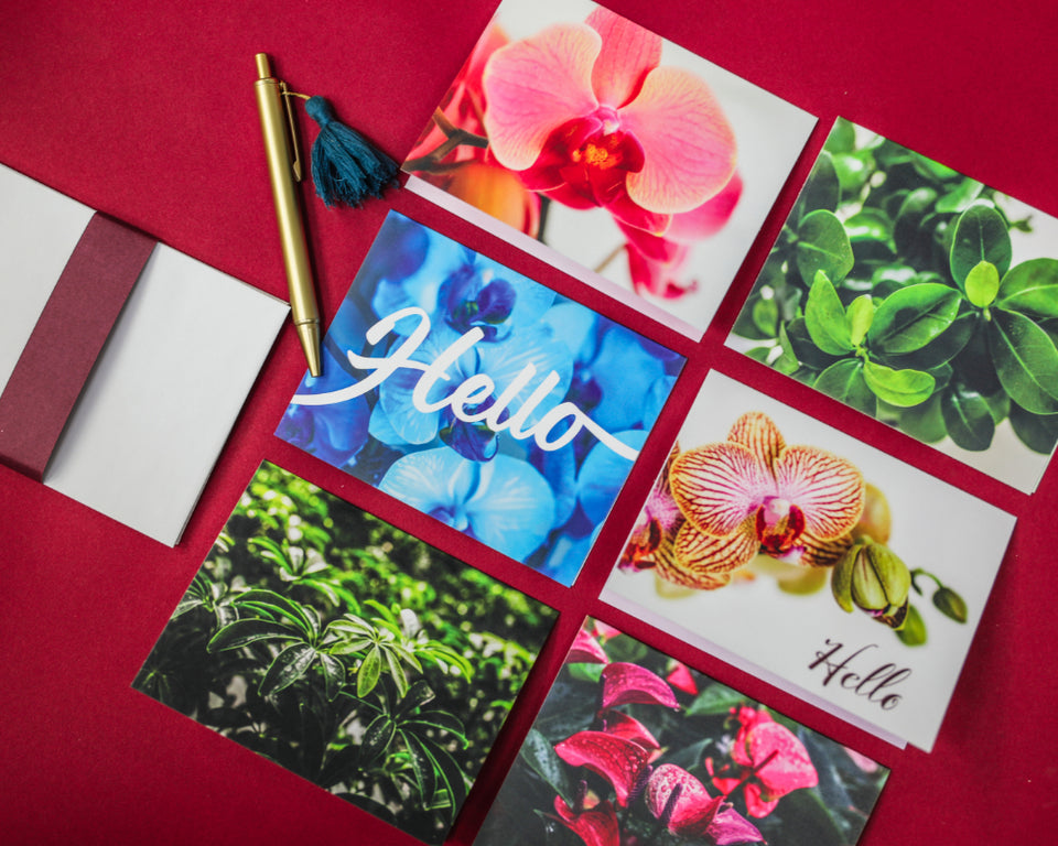 6-Pack Notecards Free with $100 Purchase - Discount Applied at Checkout