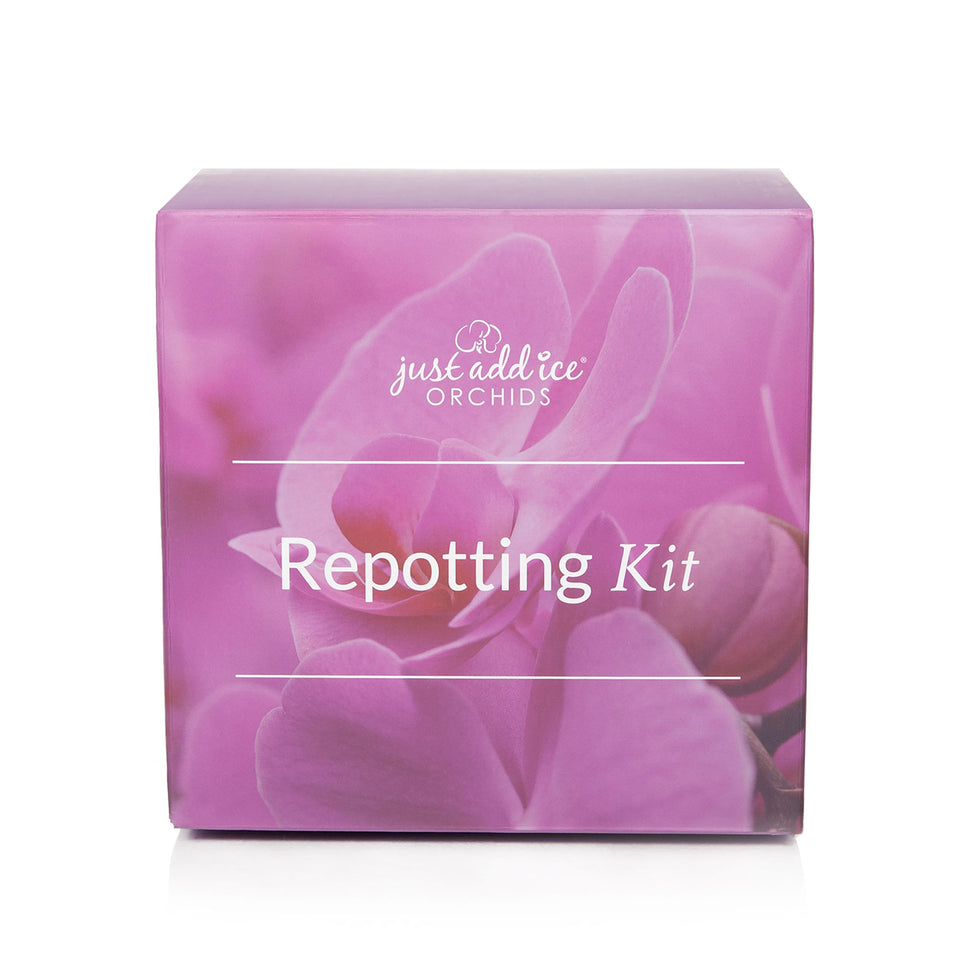 orchid starter kit - repotting kit for orchids